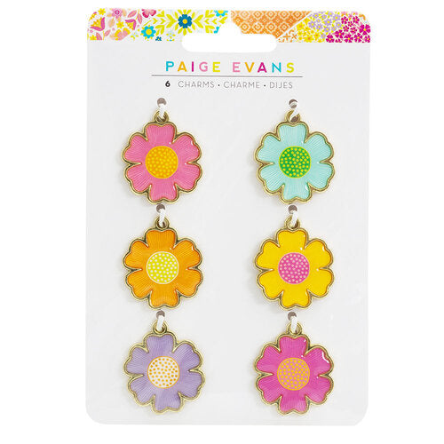 Paige Evans Splendid CHARMS 6pc