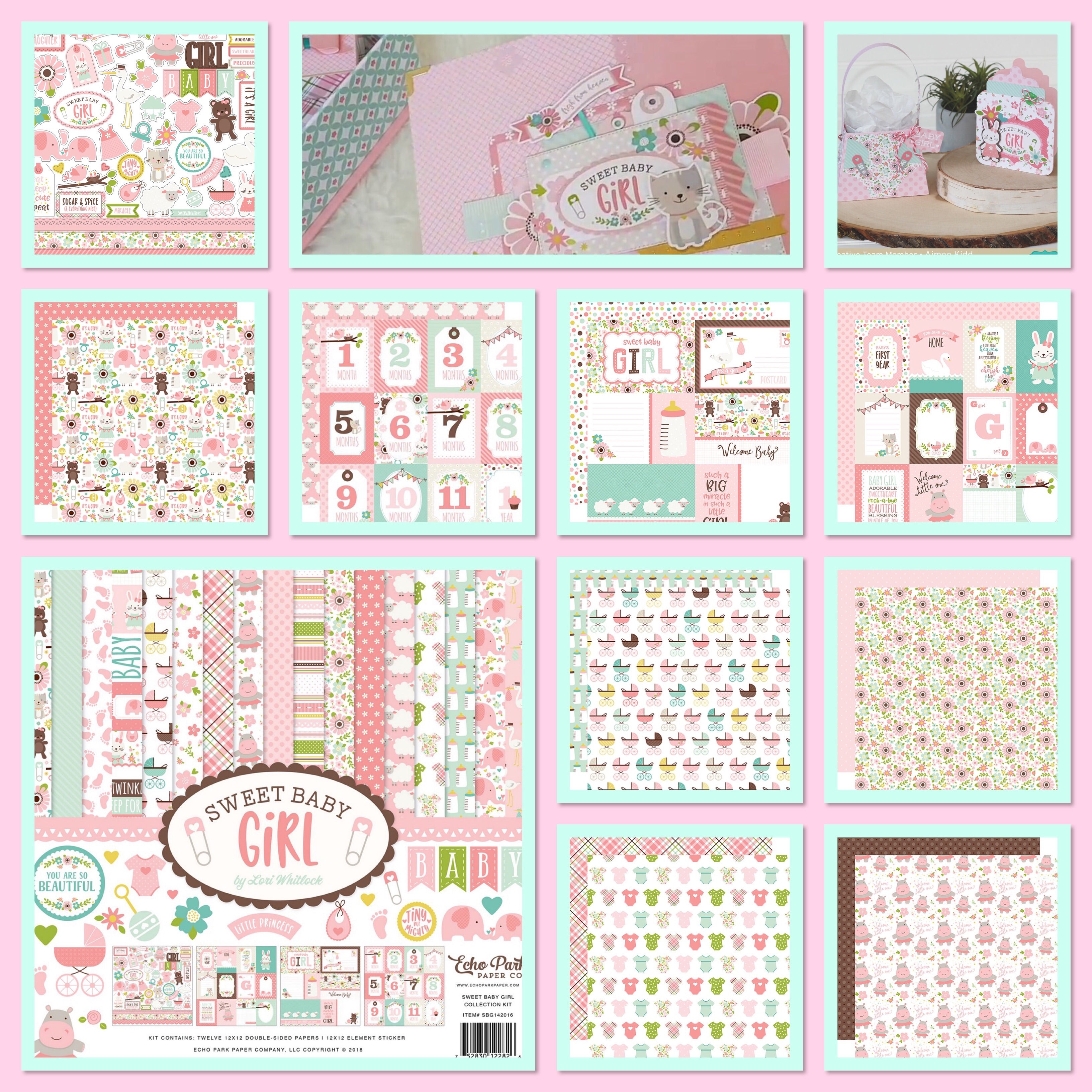 Echo Park SWEET BABY GIRL 12"X12" 13pc. Scrapbook Kit Scrapbooksrus