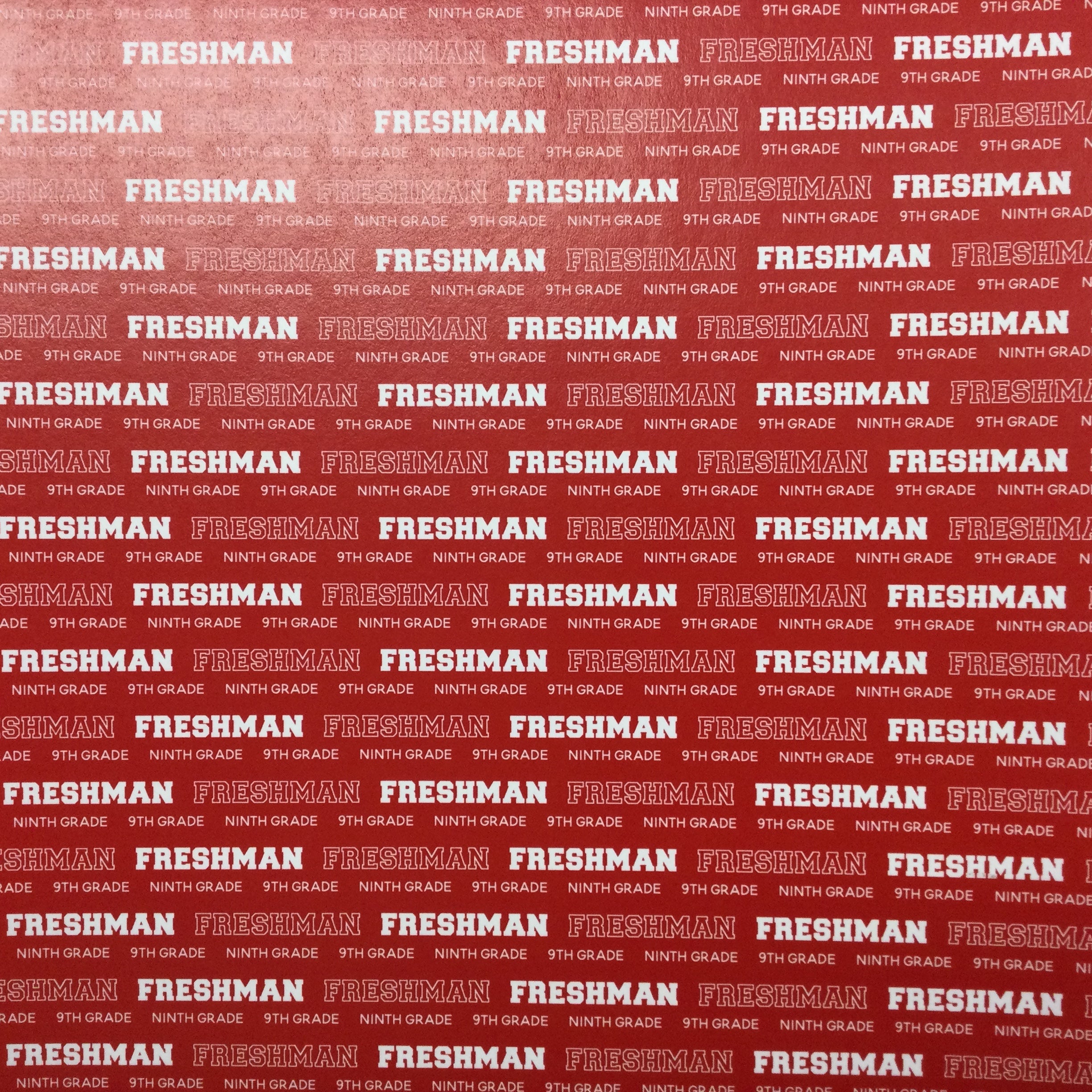 FRESHMAN PRIDE Red School 12"X12" Scrapbook Paper Scrapbooksrus
