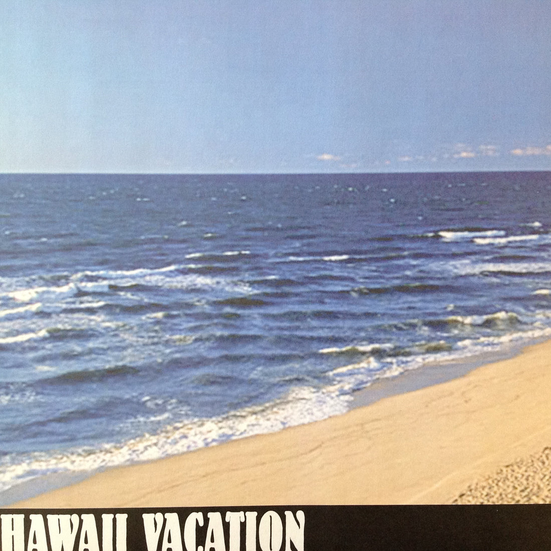 HAWAII VACATION 12"X12" Scrapbook Customs Paper