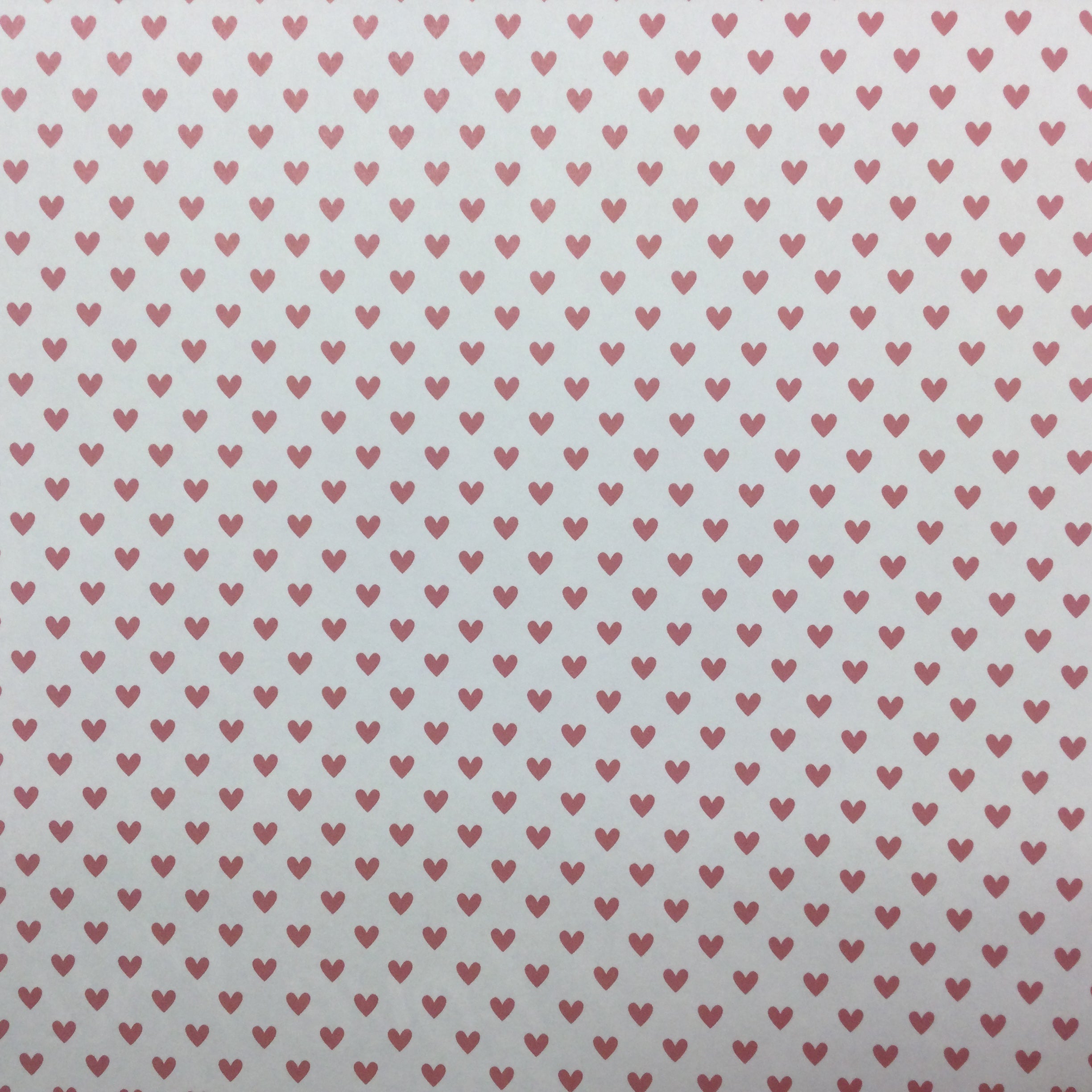 HEART WARRIOR I Love You 12"X12" Scrapbook Paper Scrapbooksrus