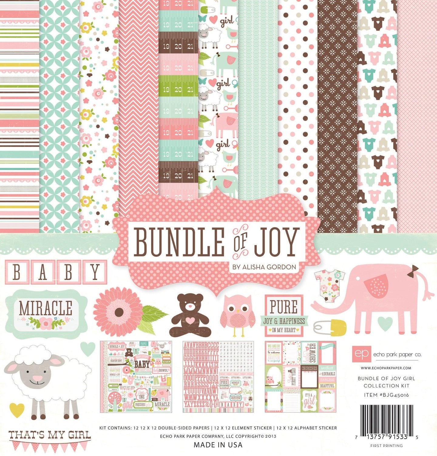 Echo Park Bundle Of Joy BABY GIRL 12"X12" Kit