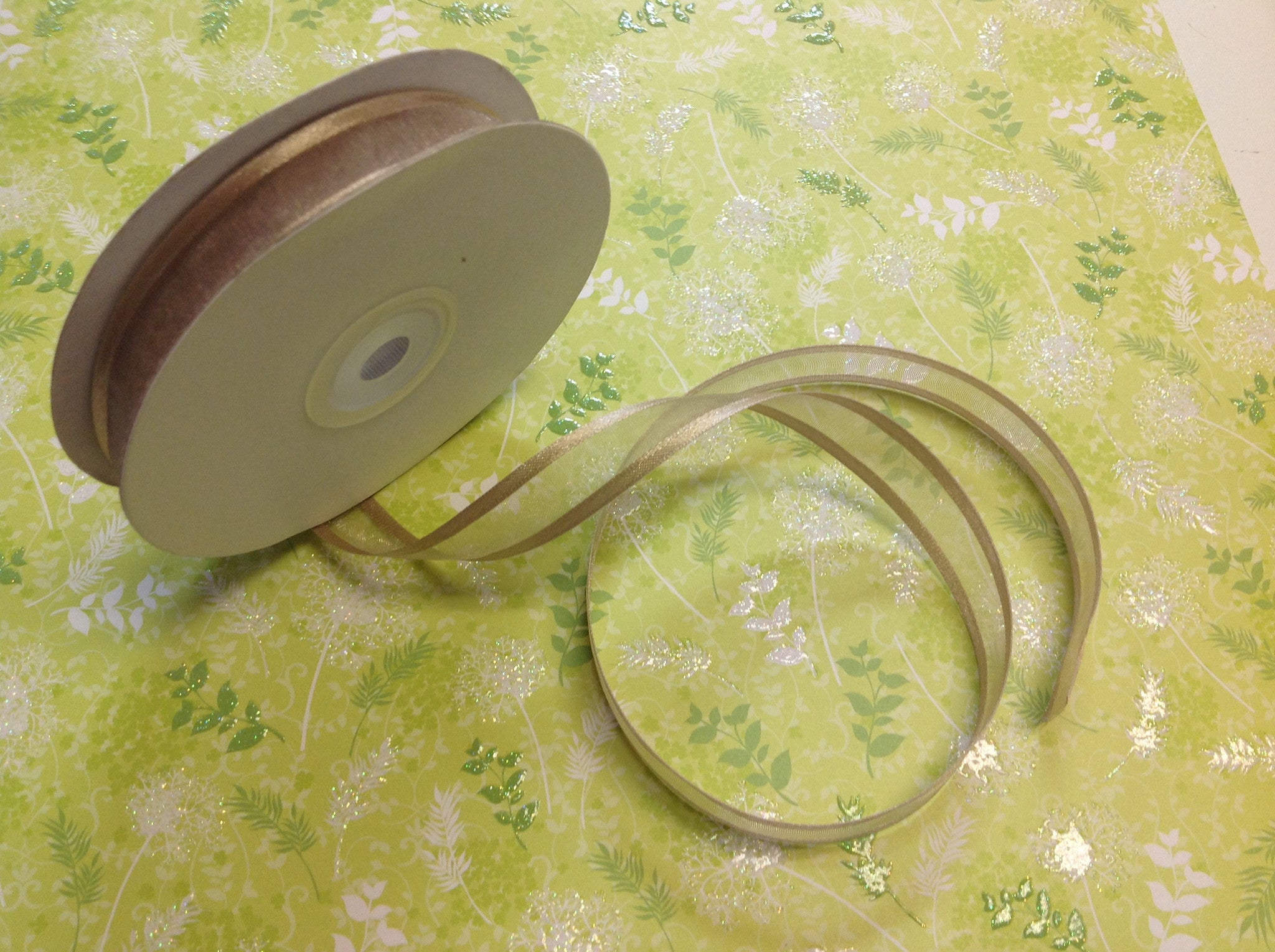 May Arts 5/8" Sheer Organza Satin Edge Ribbon 1yrds - Scrapbook Kyandyland