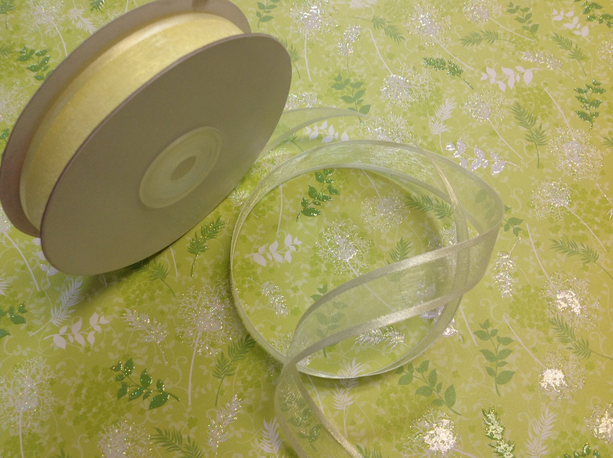 May Arts 5/8" Sheer Organza Satin Edge Ribbon 1yrds - Scrapbook Kyandyland