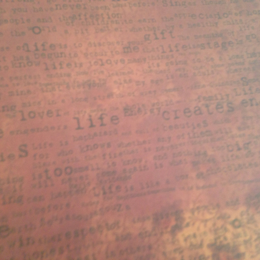 7 Gypsies ROUGE LIFE 12"X12" Scrapbook Paper