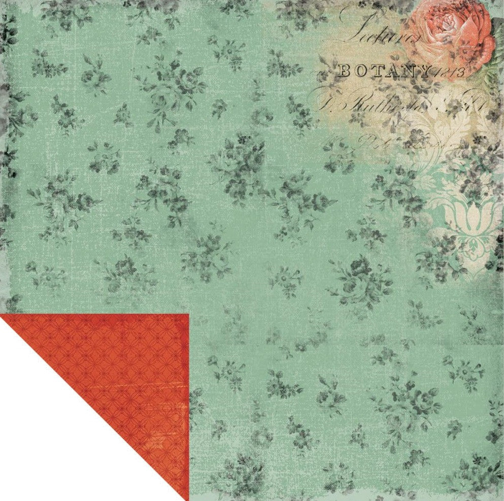 Kaisercraft CURIOSITY 12"X12" Scrapbook Paper - Scrapbook Kyandyland