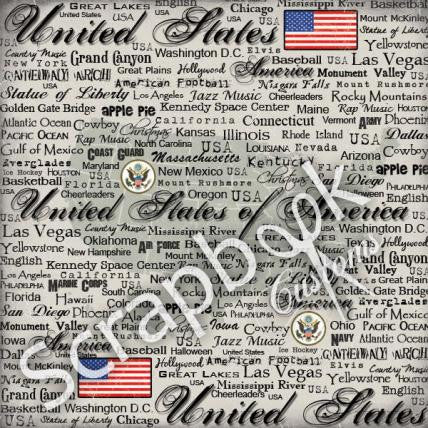 USA SCRATCHY 12"X12" Scrapbook Cardstock Paper 34565