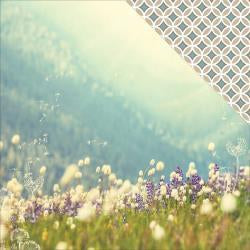 Webster’s Pages Dream In Color FIELD OF BLISS 12x12 Scrapbook Paper Scrapbooksrus Vegas Largest Scrapbook Store