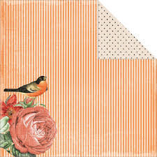 Kaisercraft CURIOSITY 12"X12" Scrapbook Paper - Scrapbook Kyandyland