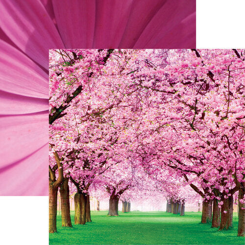 Reminisce Spring Time CHERRY TREES 12"X12" Scrapbook Paper