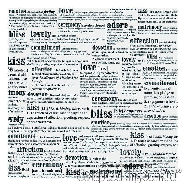 Teresa Collins MR & MRS Words Transparency 12"X12" - Scrapbook Kyandyland