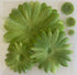 Petaloo Flora Doodles Glittered Daisy Layers GREEN Scrapbooksrus