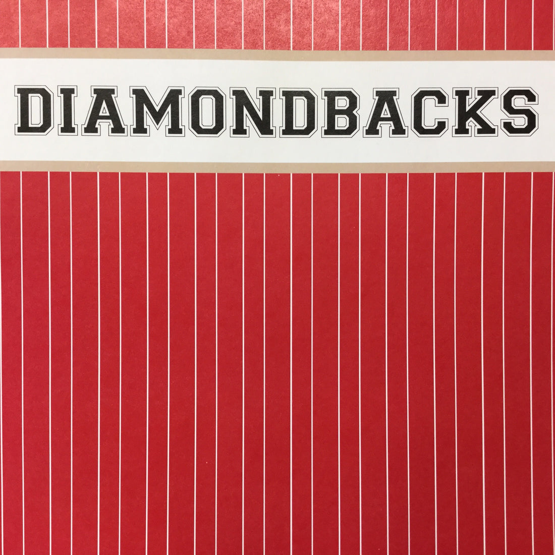 DIAMONDBACKS BASEBALL Pride Kit 12"X12" Scrapbook Paper