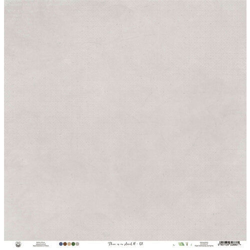 P13 THERE IS NO PLANET B 07 12"X12" Scrapbook Paper 02