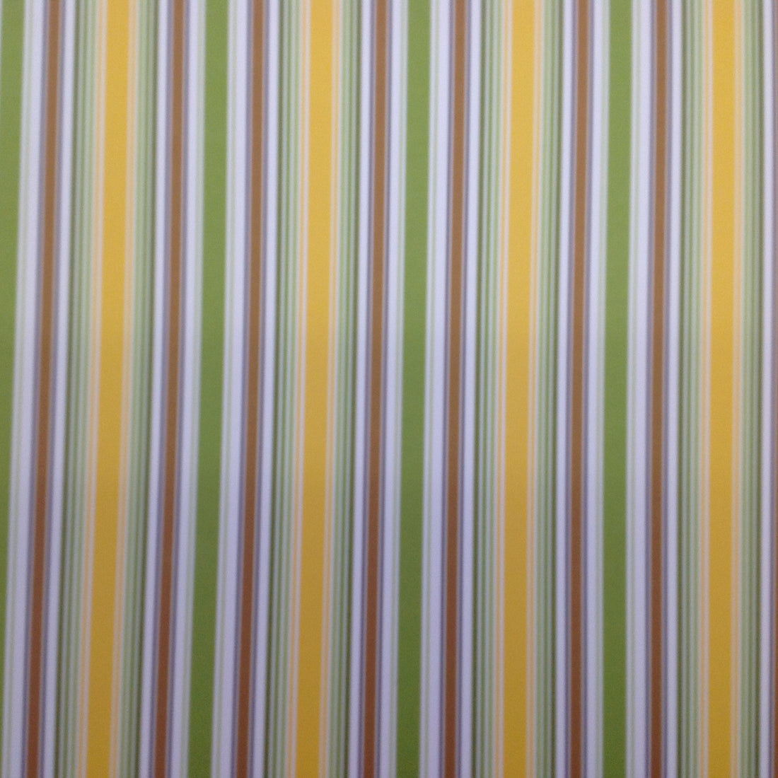 Queen & Co WILD THINGS STRIPE 12x12 Scrapbook Paper - Scrapbook Kyandyland