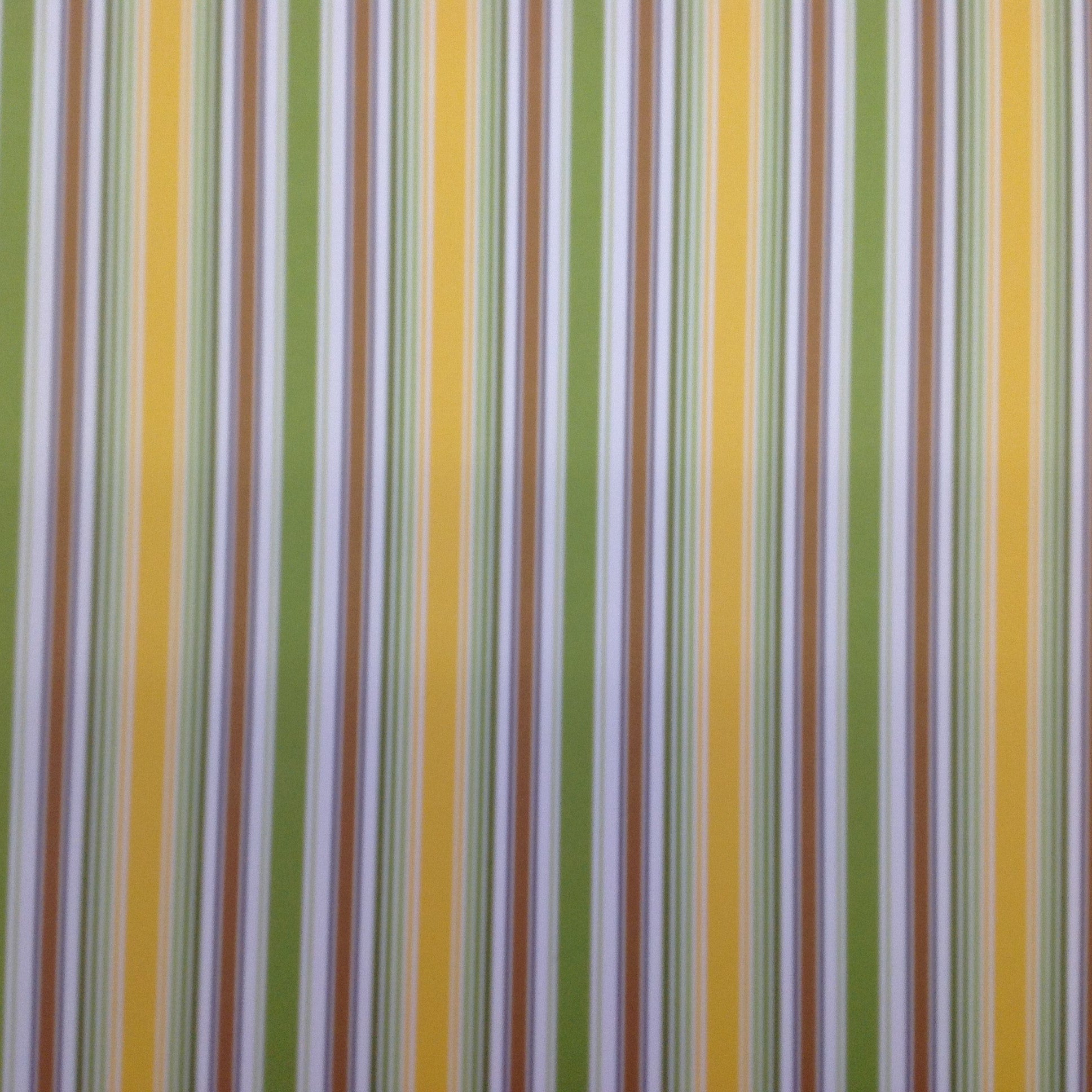 Queen & Co WILD THINGS STRIPE 12x12 Scrapbook Paper - Scrapbook Kyandyland