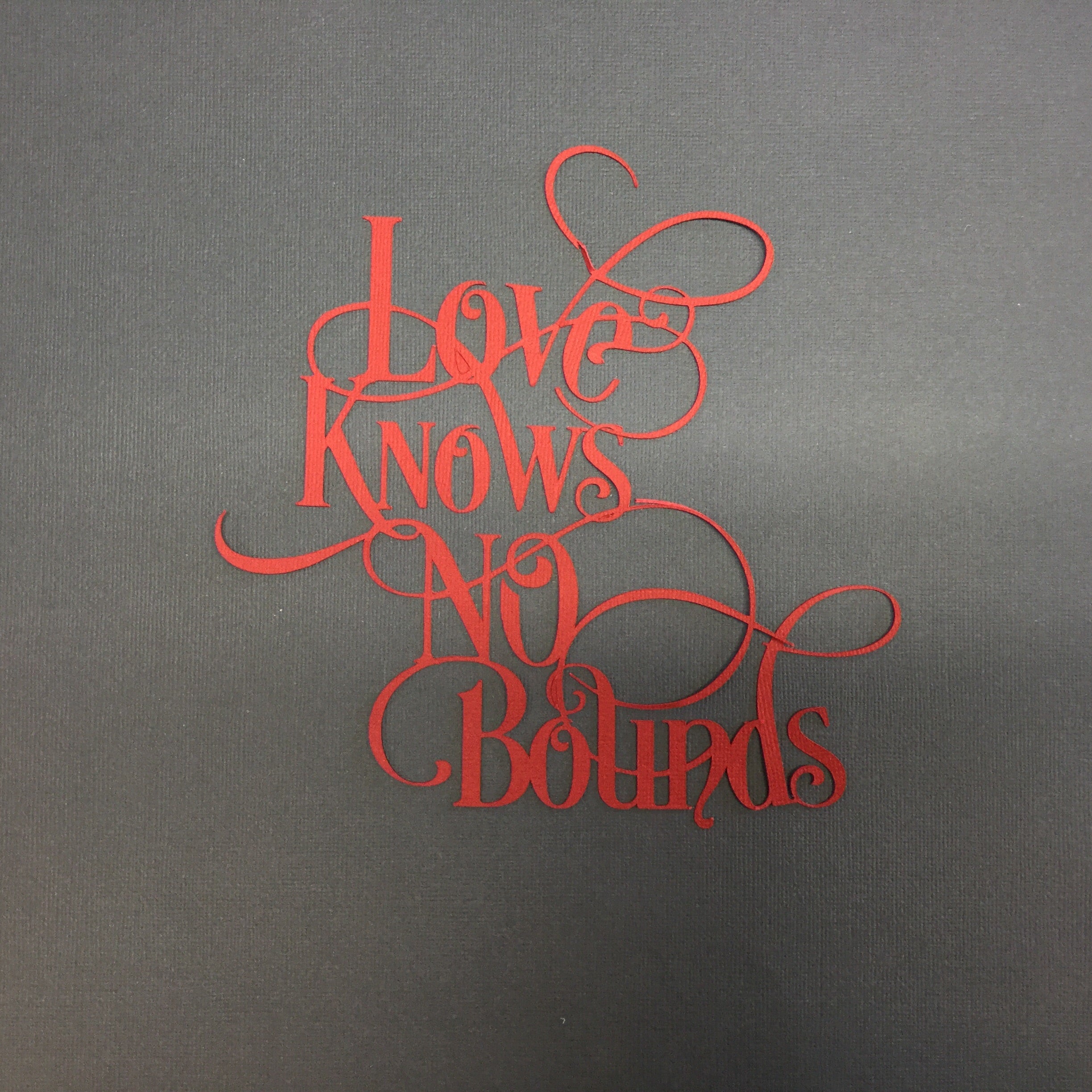 Page Frame LOVE BOUNDS 12"x12" Scrapbook Overlay Scrapbooksrus