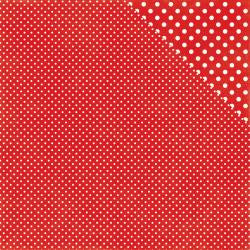 Echo Park DOTS & STRIPES 12"X12" Scrapbook Paper - Scrapbook Kyandyland