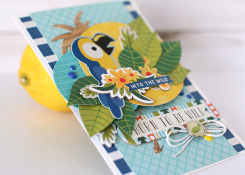 Echo Park 12"x12" JUNGLE SAFARI 14pc COLLECTION KIT Scrapbooksrus