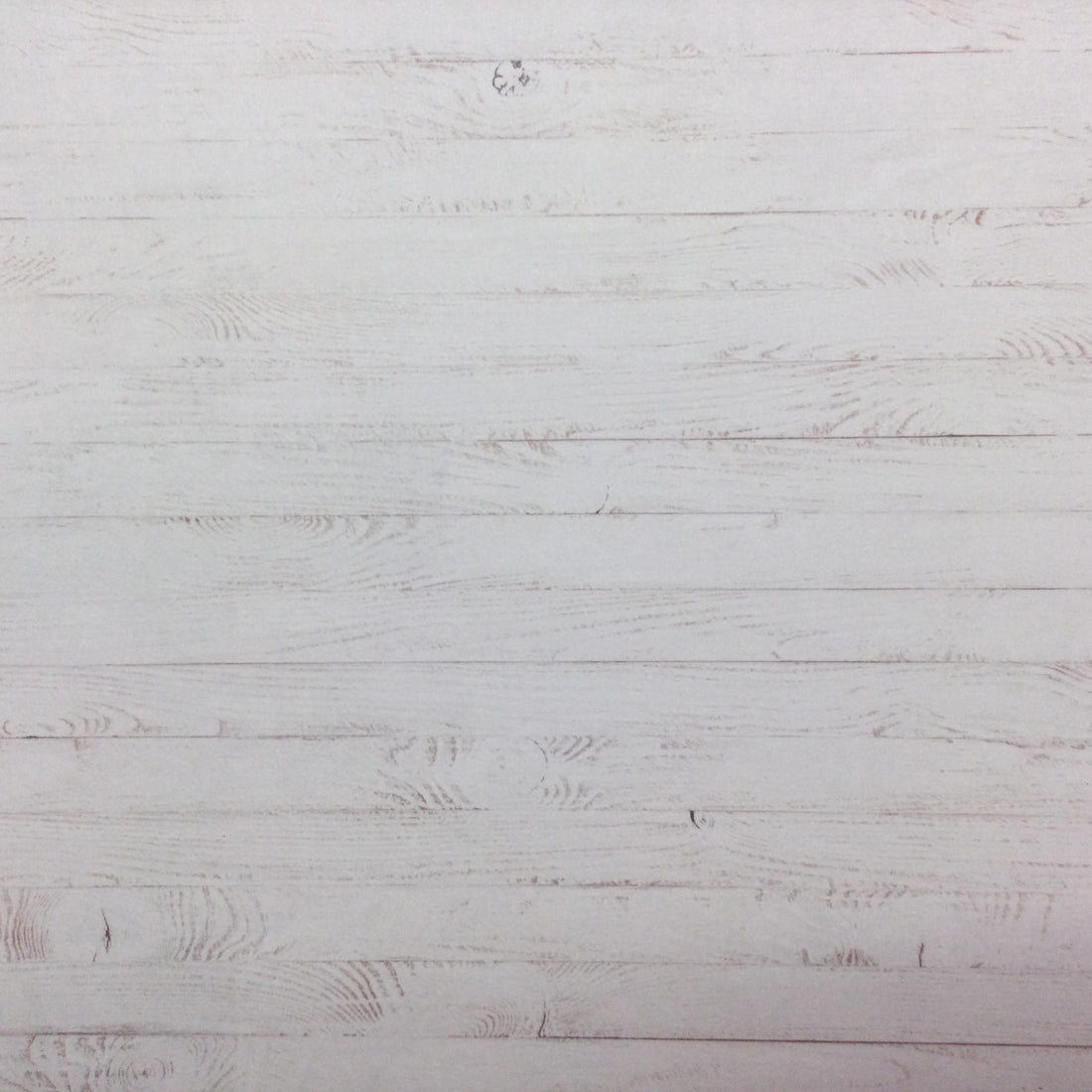 SANTA MONICA PIER 12"X12" Scrapbook Paper Scrapbooksrus