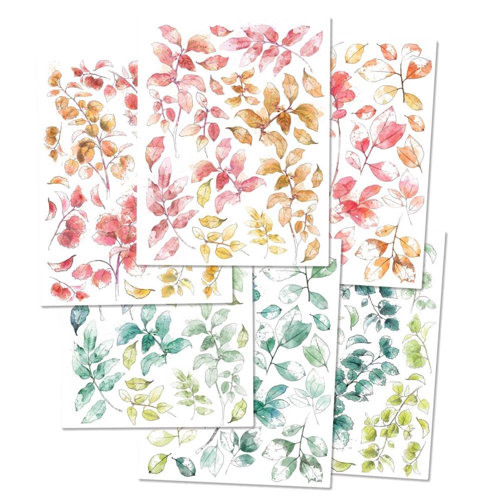 49 and Market Spectrum Sherbet LEAVES RUB-ON Transfer Set Scrapbooksrus