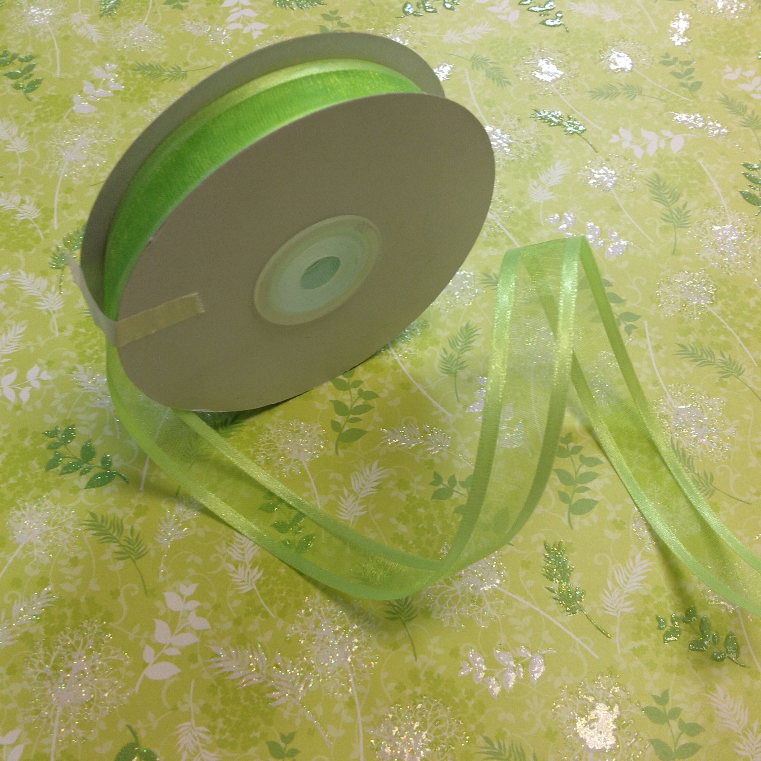 May Arts 5/8" Sheer Organza Satin Edge Ribbon 1yrds - Scrapbook Kyandyland