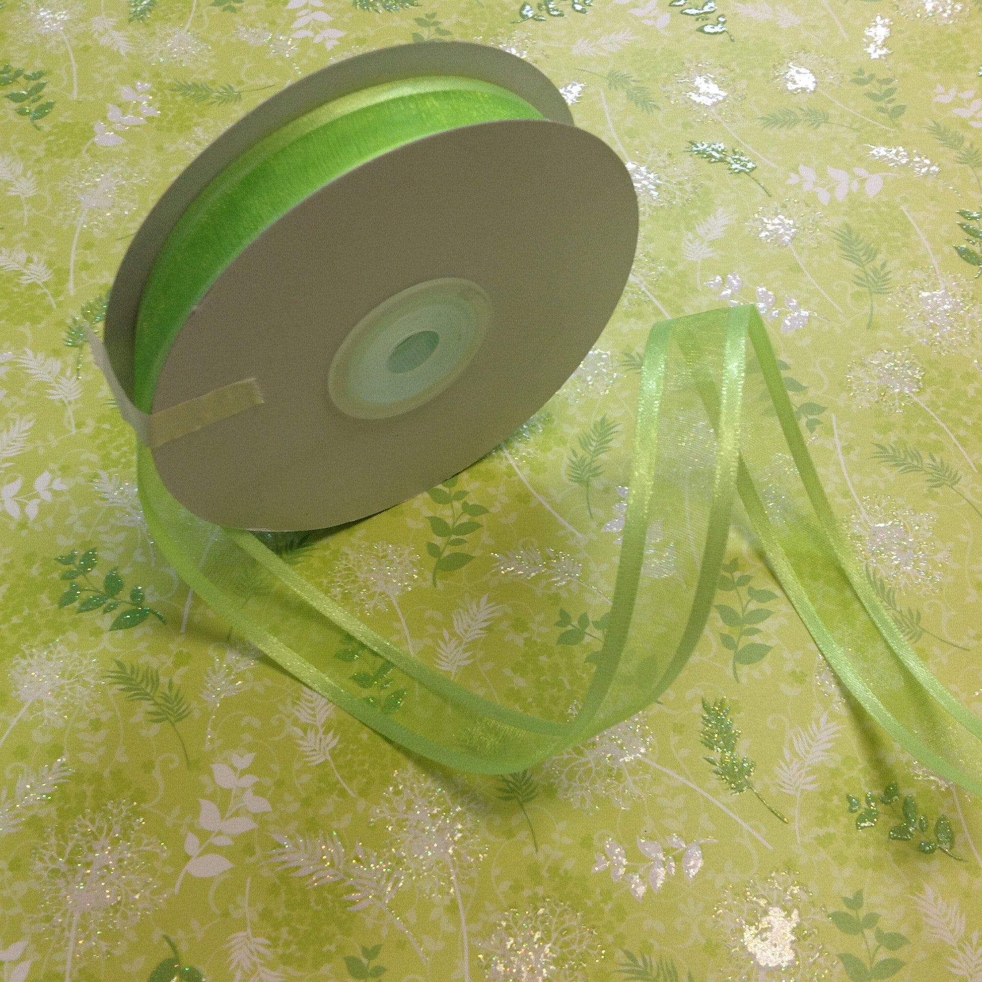 May Arts 5/8" Sheer Organza Satin Edge Ribbon 1yrds - Scrapbook Kyandyland