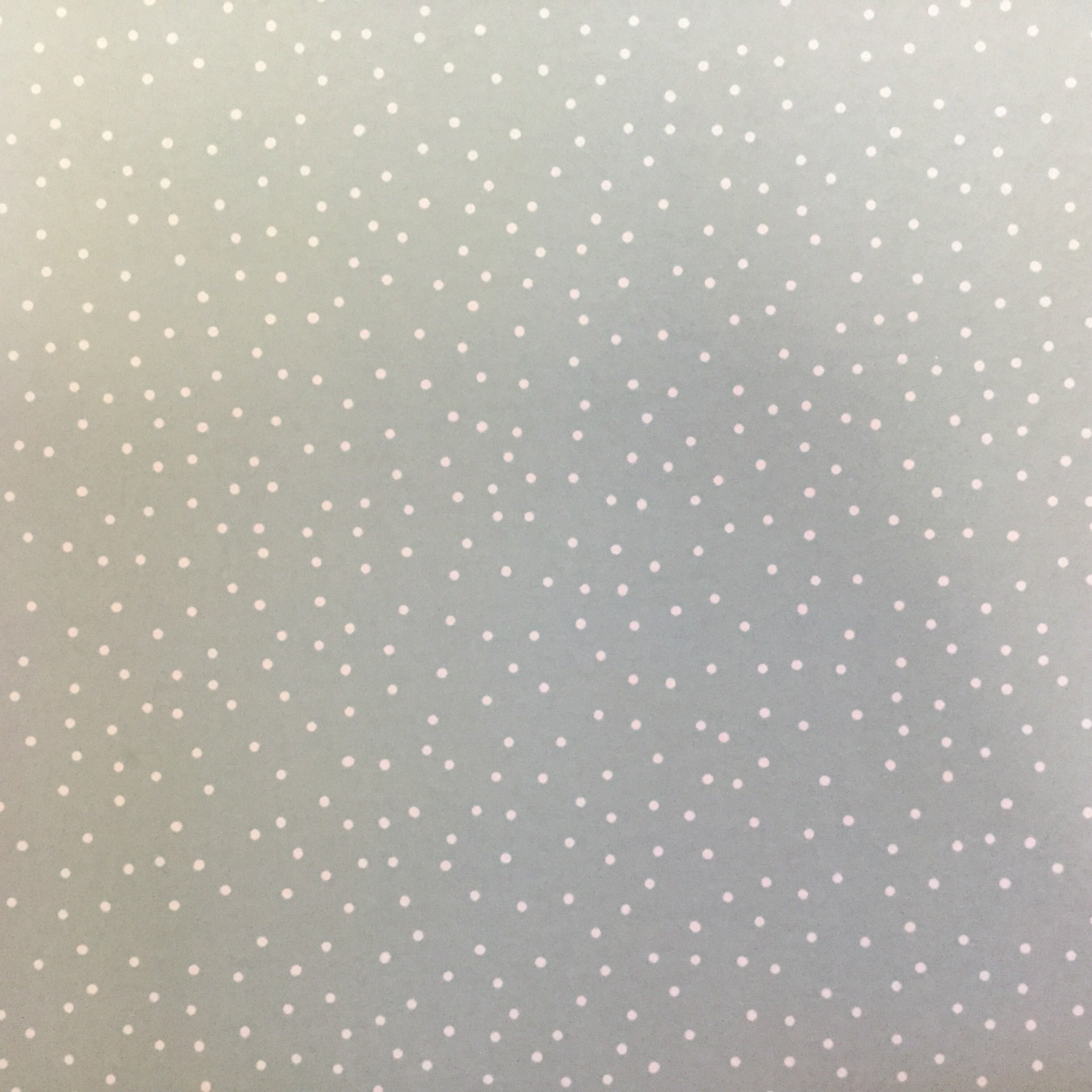 LAS VEGAS Double Sided Pride 1 12x12 Scrapbook Paper Scrapbooksrus