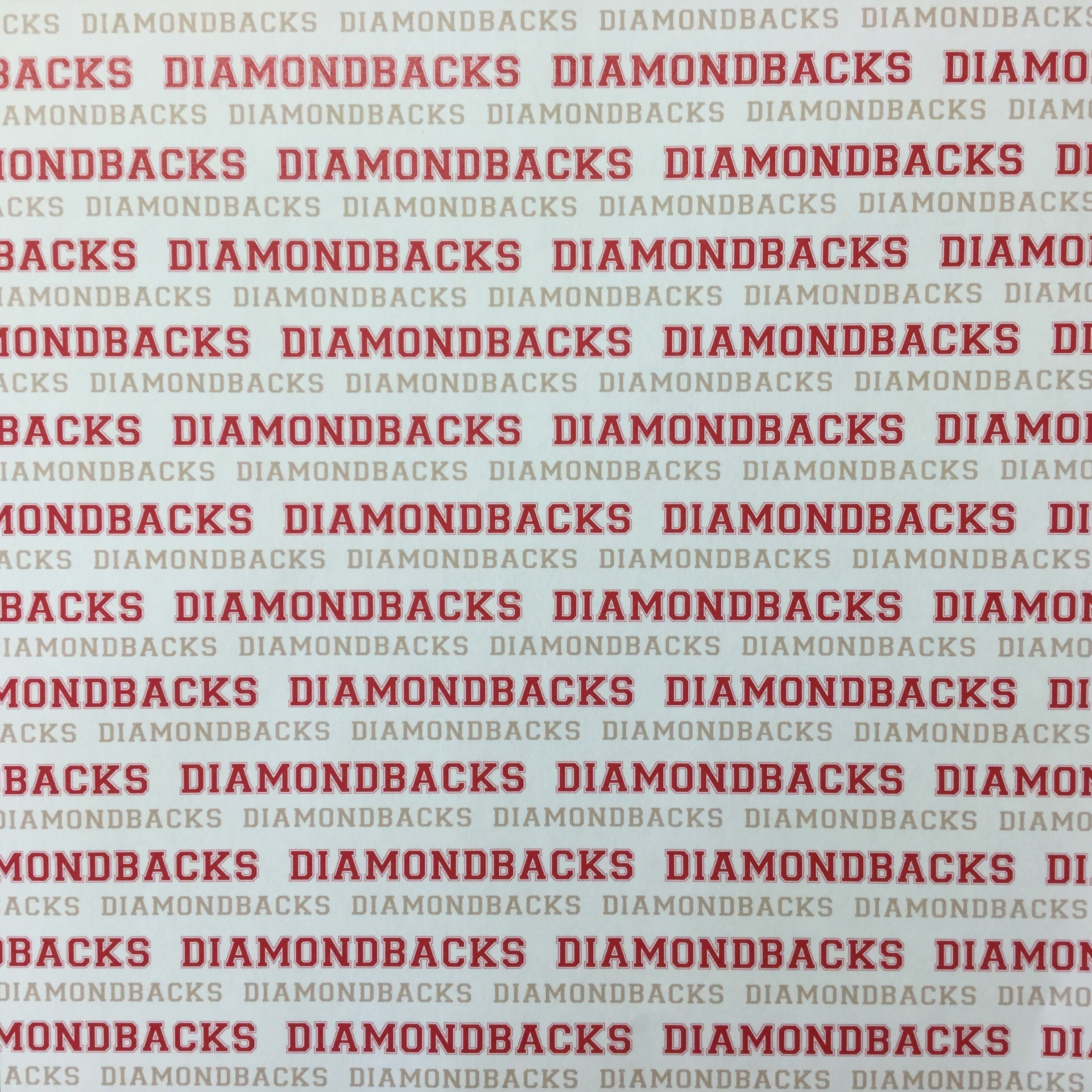 DIAMONDBACKS BASEBALL Pride Kit 12"X12" Scrapbook Paper
