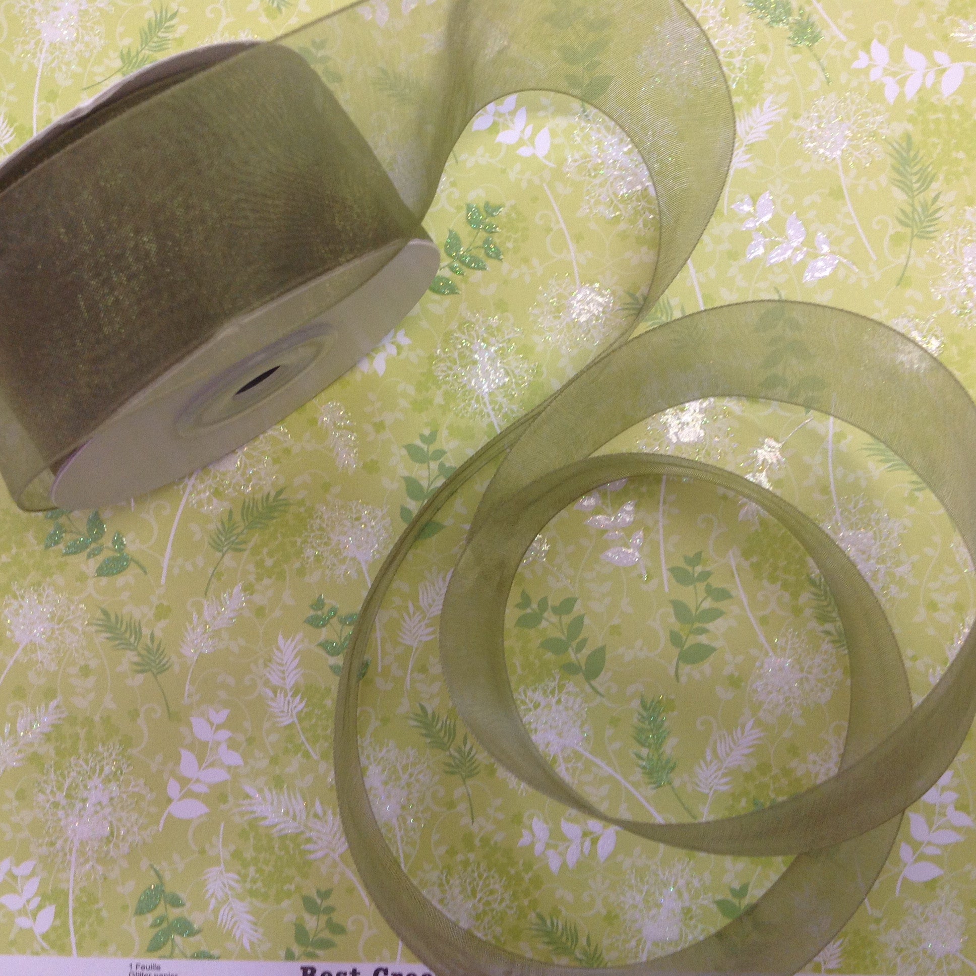May Arts 1 1/2" Sheer Organza Ribbon 1 yard - Scrapbook Kyandyland