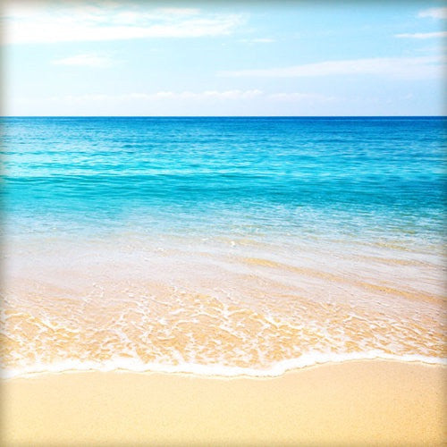 TROPICAL BEACH Companion Sheet 12"X12" Scrapbook Paper