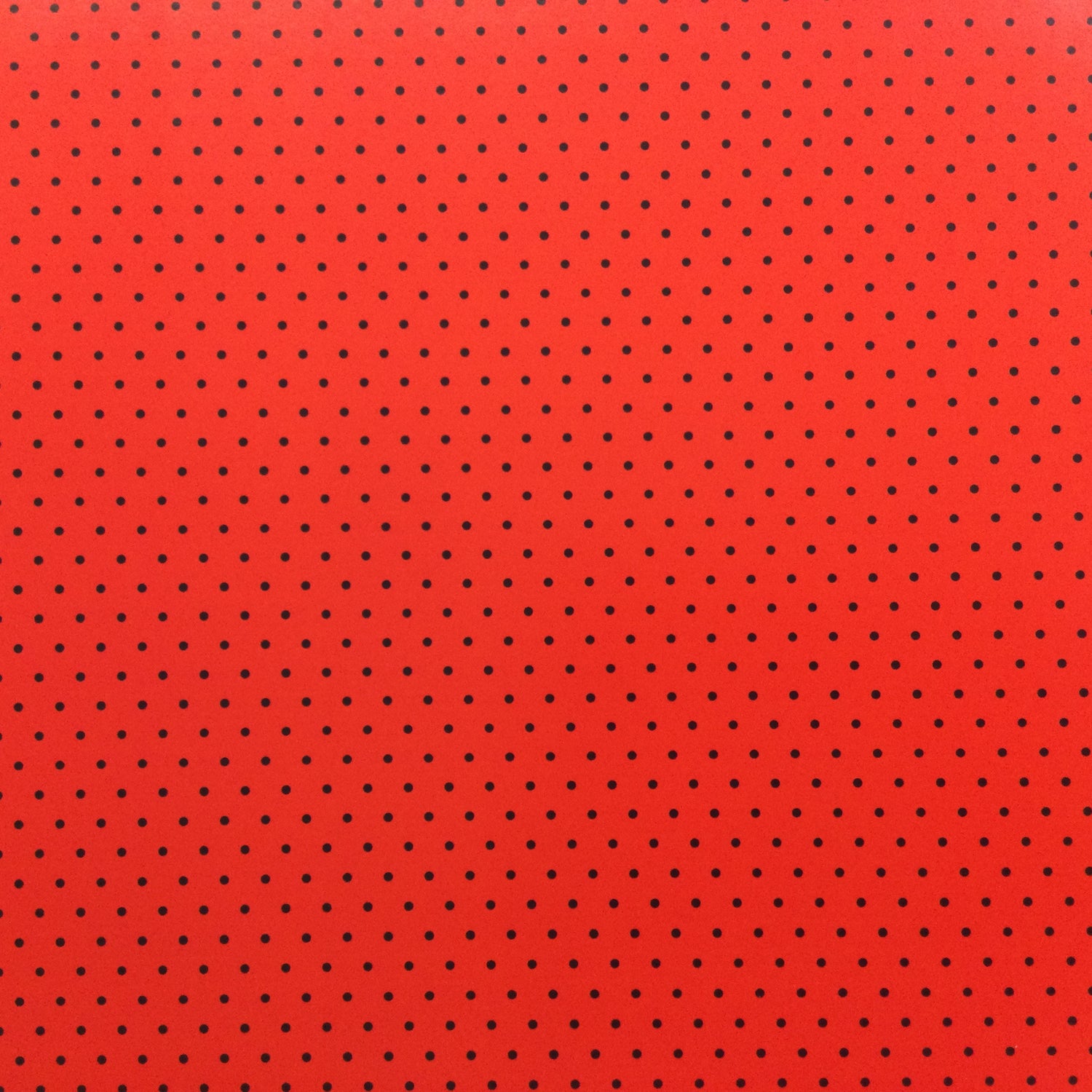 Polka Dots RED & BLACK 12X12 Scrapbook Paper Scrapbooksrus