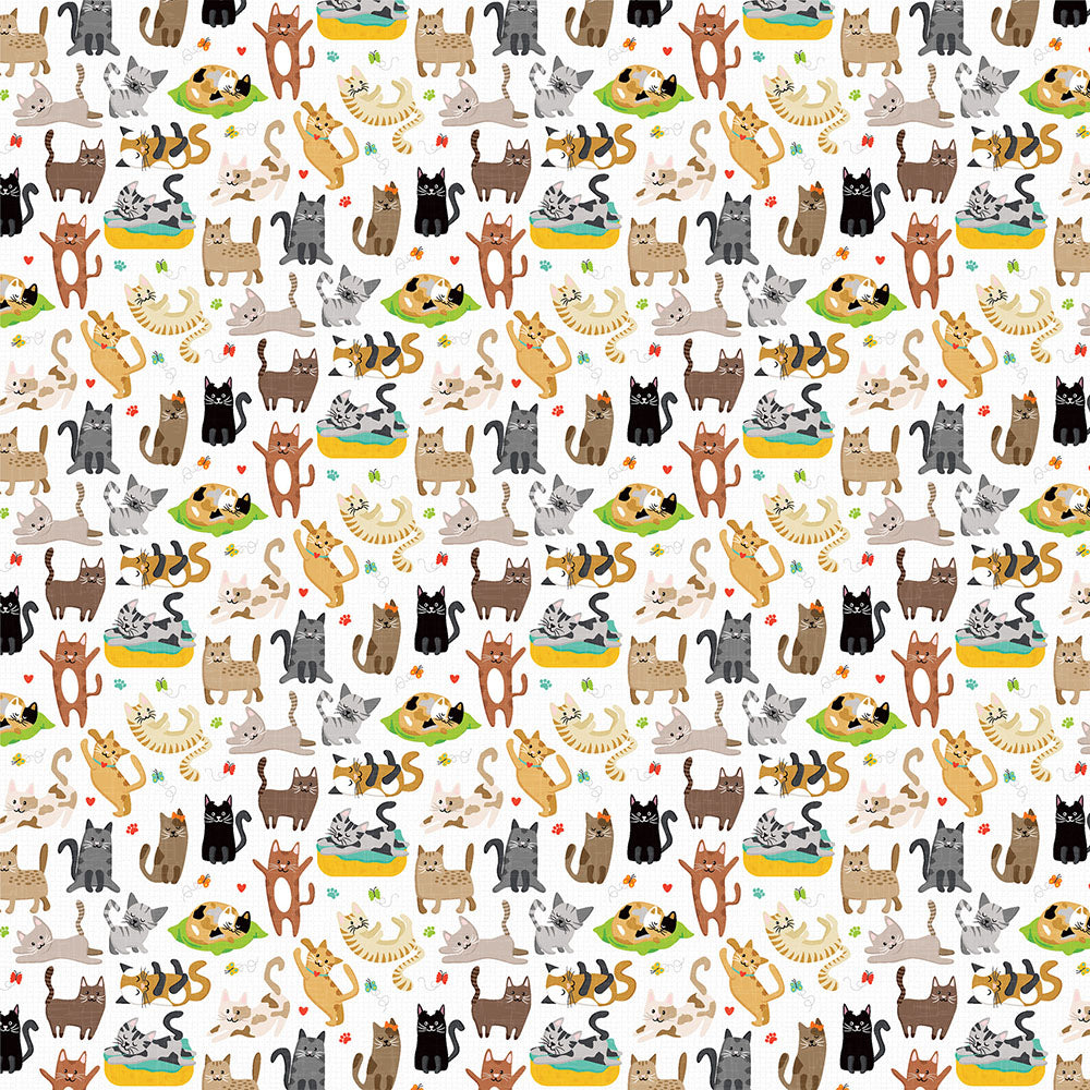 Photoplay CAT NIP 12”X12” Scrapbook Paper