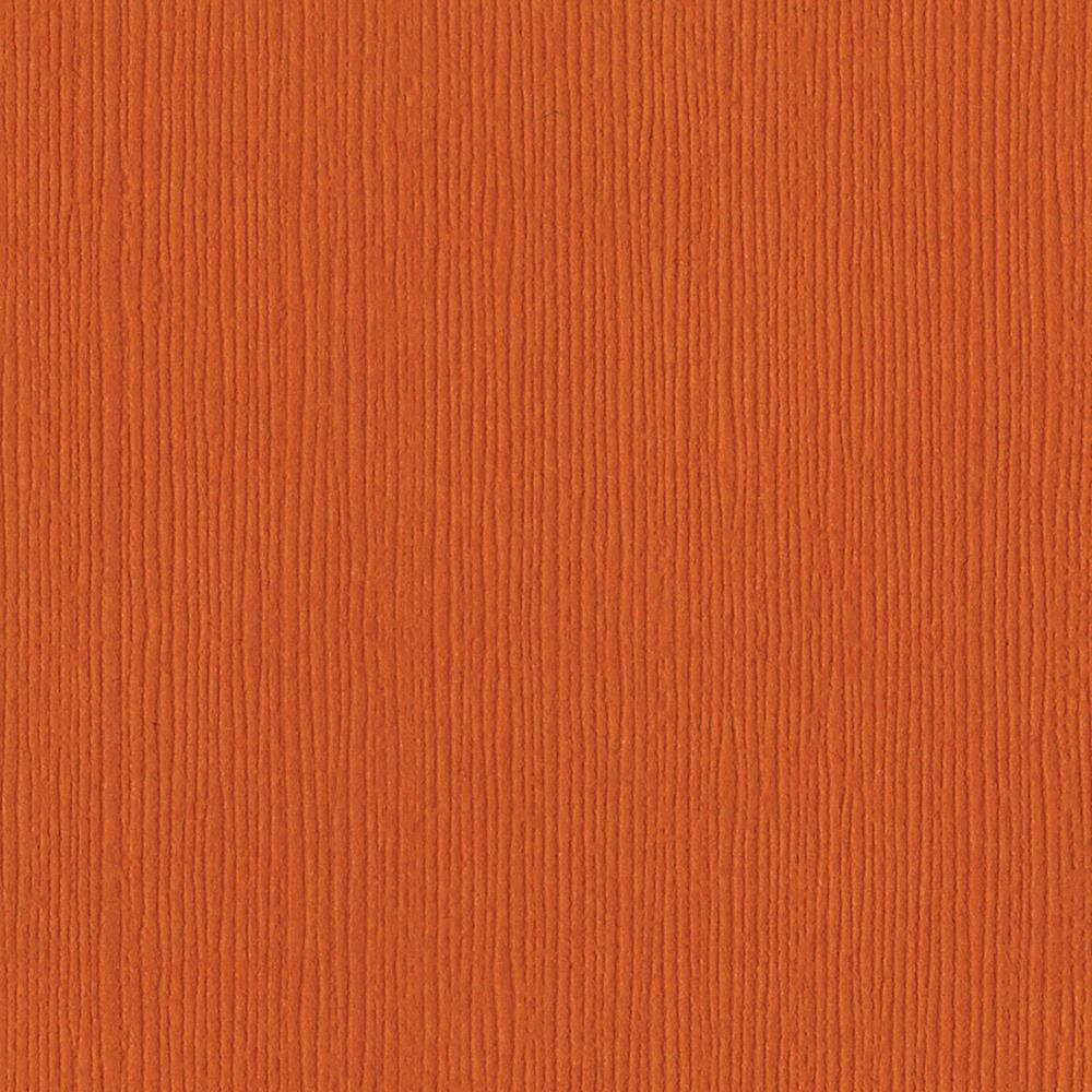 BAZZILL CARDSTOCK 12&quot;X12&quot; 1 Sheet Solid Core