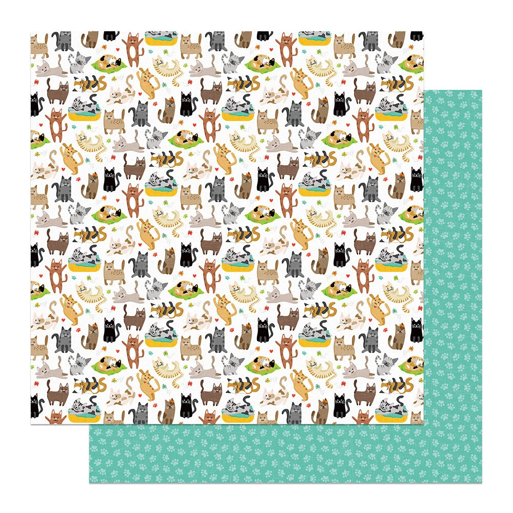 Photoplay Cat Nip CATS HAVE STUFF 12X12 Scrapbook Paper