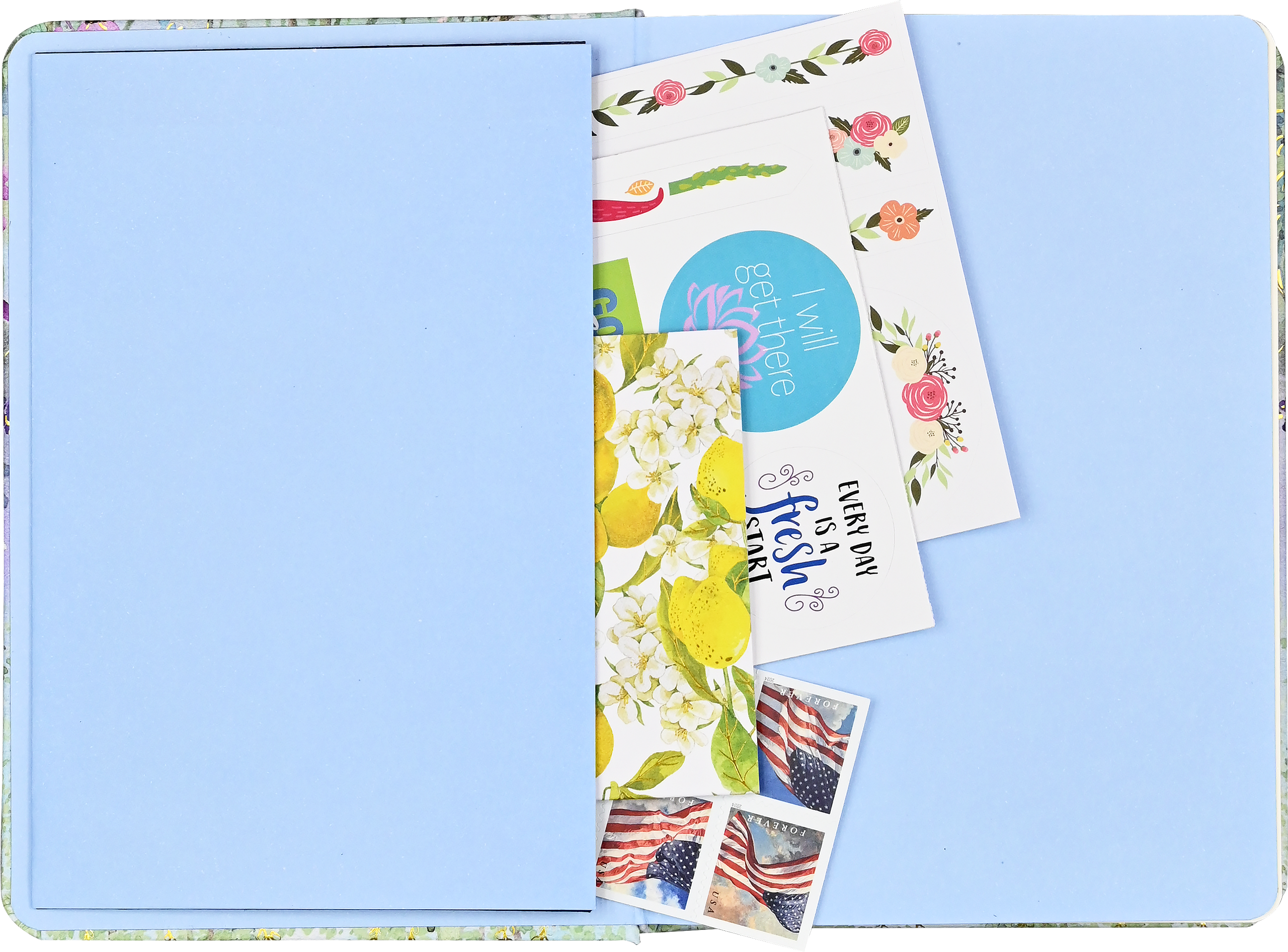 Peter Pauper DRAGONFLIES &amp; DANDELIONS A7 Journal