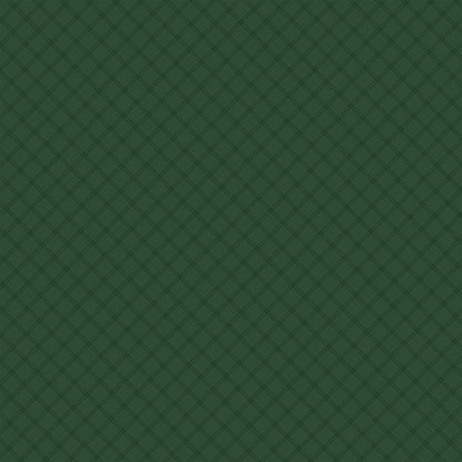 Echo Park GNOME FOR CHRISTMAS 12&quot;X12&quot; Scrapbook Paper