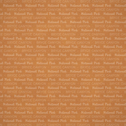 Scrapbook Customs NATIONAL PARK MAP AND WORDS 12&quot;X12&quot; Scrapbook Paper