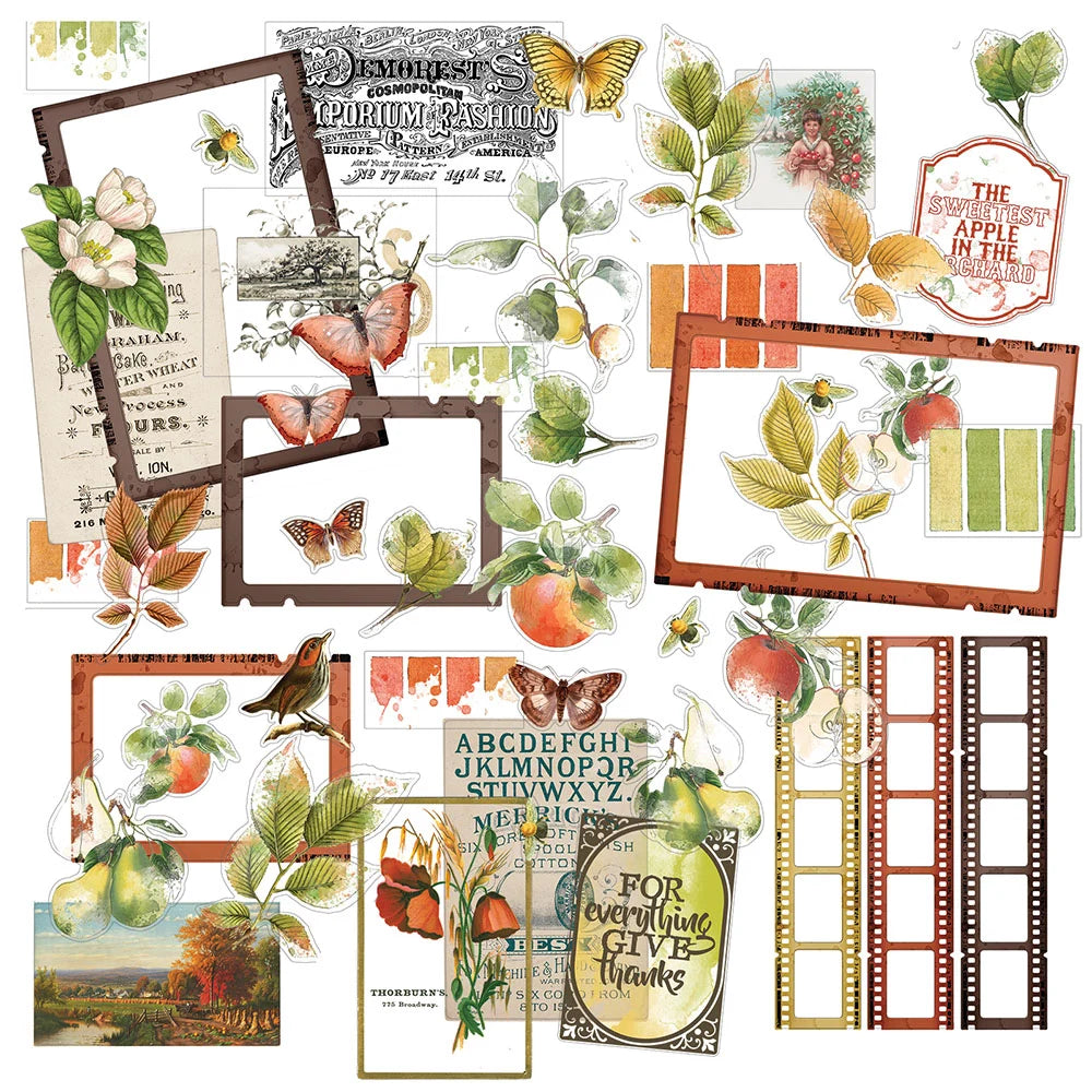 49 and Market VINTAGE ORCHARD Acetate Assortment 48pc