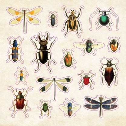 Peter Pauper The Sticker Book of CURIOSITIES