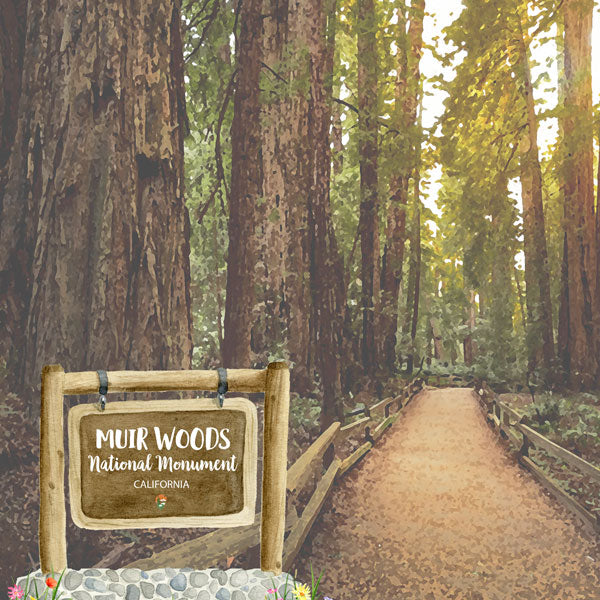 MUIR WOODS California National Monument 12&quot;X12&quot; Scrapbook Paper