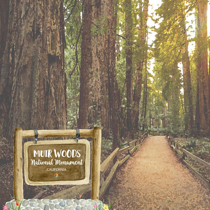MUIR WOODS California National Monument 12&quot;X12&quot; Scrapbook Paper