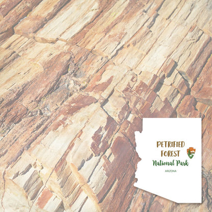 PETRIFIED FOREST KIT Papers and Stickers 5pc National Park Arizona