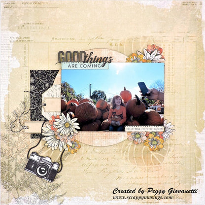 49 and Market Vicki Boutin CURIOSITIES IN WILLOW GROVE Paper Trail Alphabet Stickers