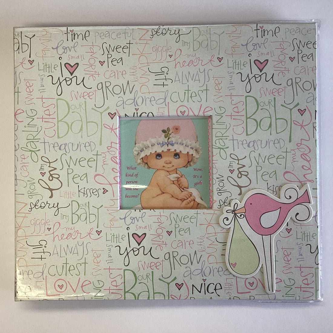 Heidi Grace BABY 8”X8” Scrapbook Album