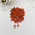 Dress My Craft BRIGHT ORANGE Colored Brads 100pcs