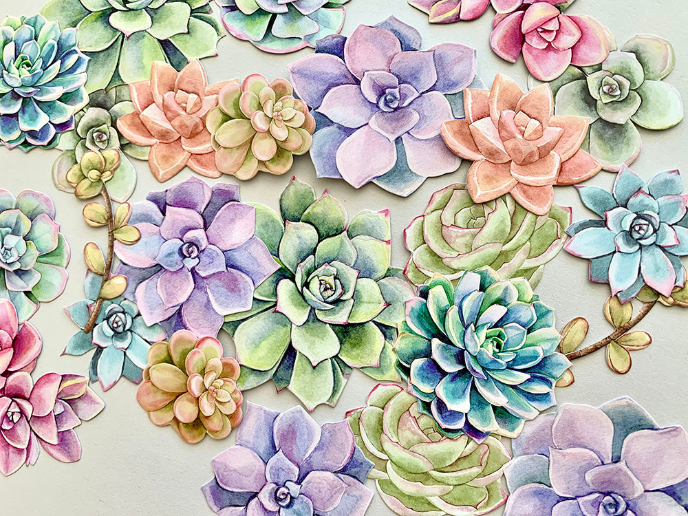 Paper House SUCCULENTS Diecut Stickers 24pc