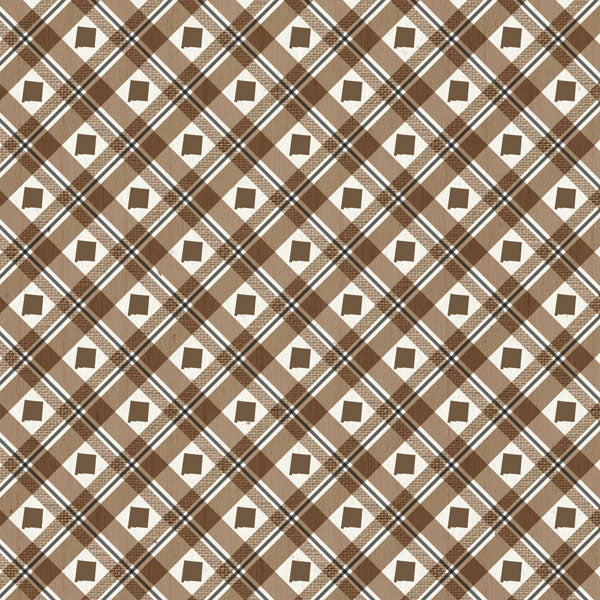 Scrapbook Customs NEW MEXICO NATURAL CRAFT MAP 12”X12” Scrapbook Paper