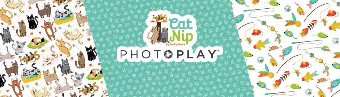 Photoplay CAT NIP 12”X12” Scrapbook Paper