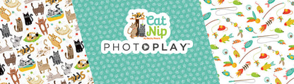 Photoplay CAT NIP 12”X12” Scrapbook Paper